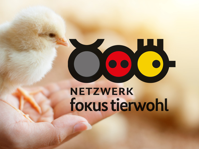 Netzwerk Fokus Tierwohl